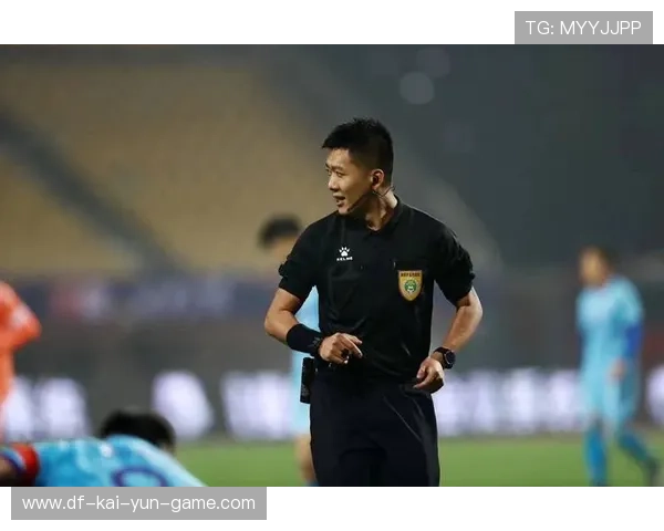 裁判员职业发展路径规划出台吸引更多人加入执法行列，裁判员就业前景